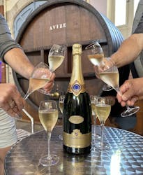 Rondleiding en champagneproeverij in Pommery en op een landgoed van de familie
